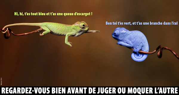 blogs gros culs