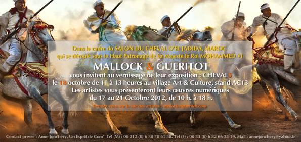 Vernissage de l’EXPO « Chevals » au Maroc !